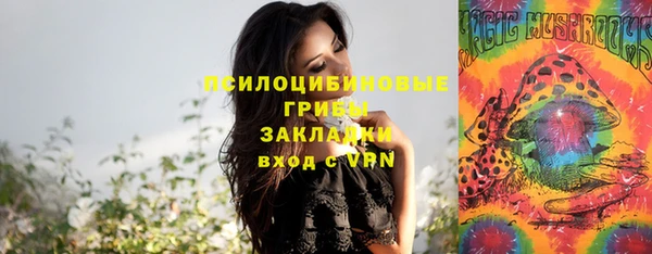 МДПВ Александровское