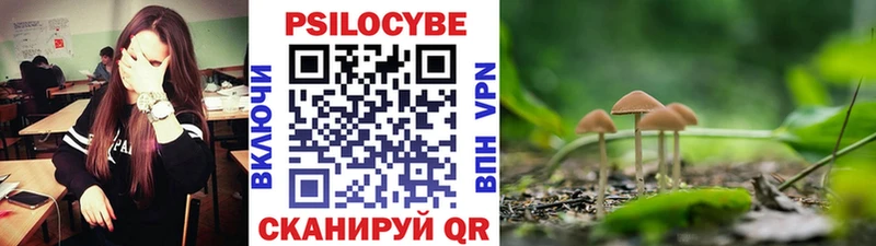 купить наркотик  Рошаль  Псилоцибиновые грибы прущие грибы 